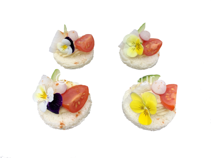 canapé vegetarien ecotraiteur traiteur paris pas cher eco responsable Vip